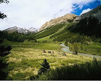 《宝可梦：大集结》获得谷歌2021最佳游戏等多个奖项